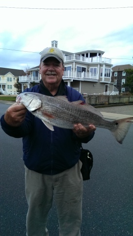 Red drum caught by a locale fishing legend